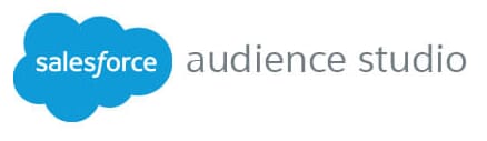 Salesforce audience studio