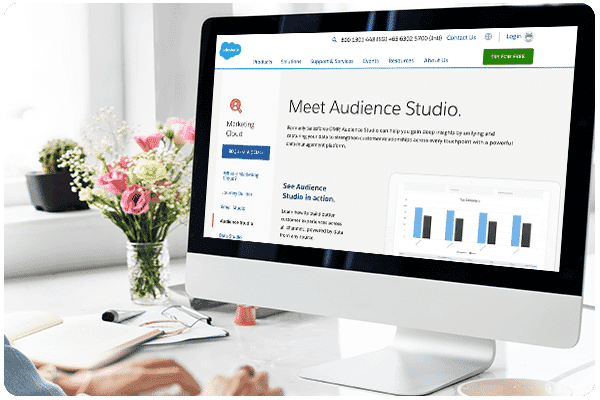 Resolution Digital Salesforce Audience Studio Services
