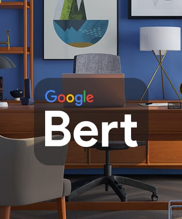 Resolution Digital Google Bert update