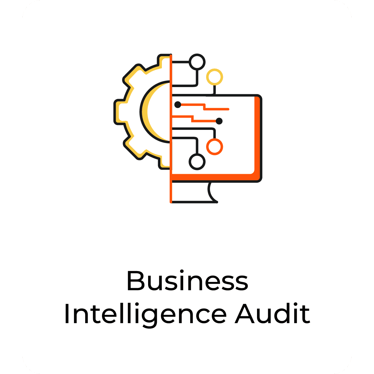 Business Intelligence Audit