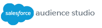 Salesforce Audience studio
