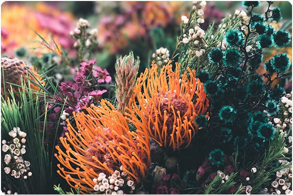 Resolution Digital acknowledges Traditional Custodians of the land 