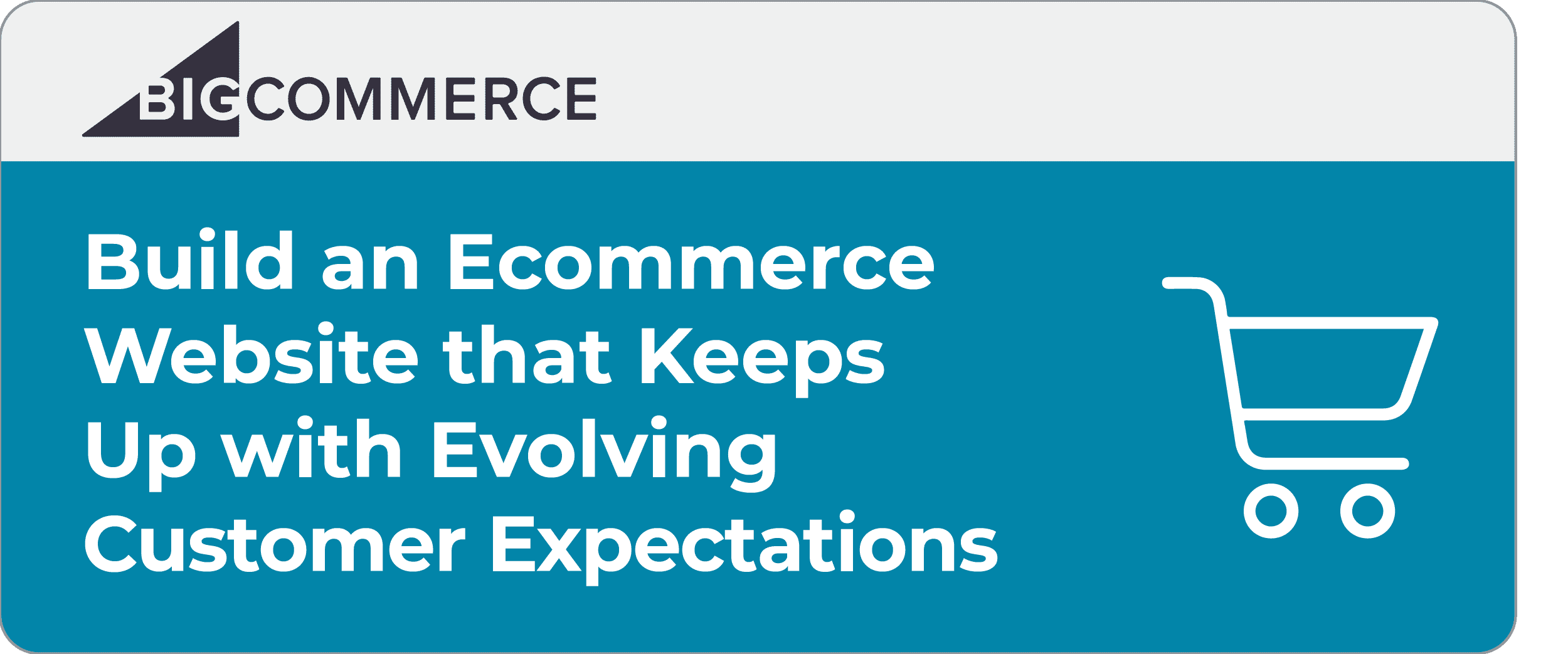 Build an Ecommerce Website That Keeps Up With Evolving Customer Expectations
