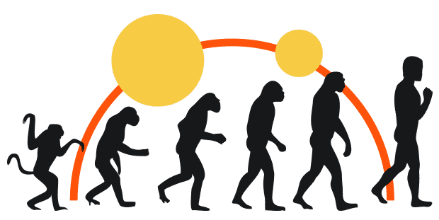 Evolution > Transformation